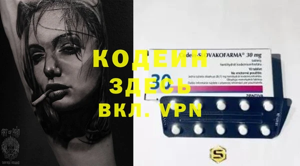 хмурый Няндома