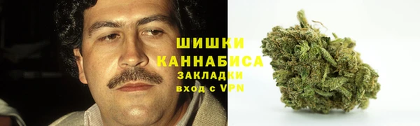 твердый Нягань
